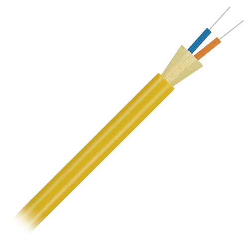 PAFSDRA02Y