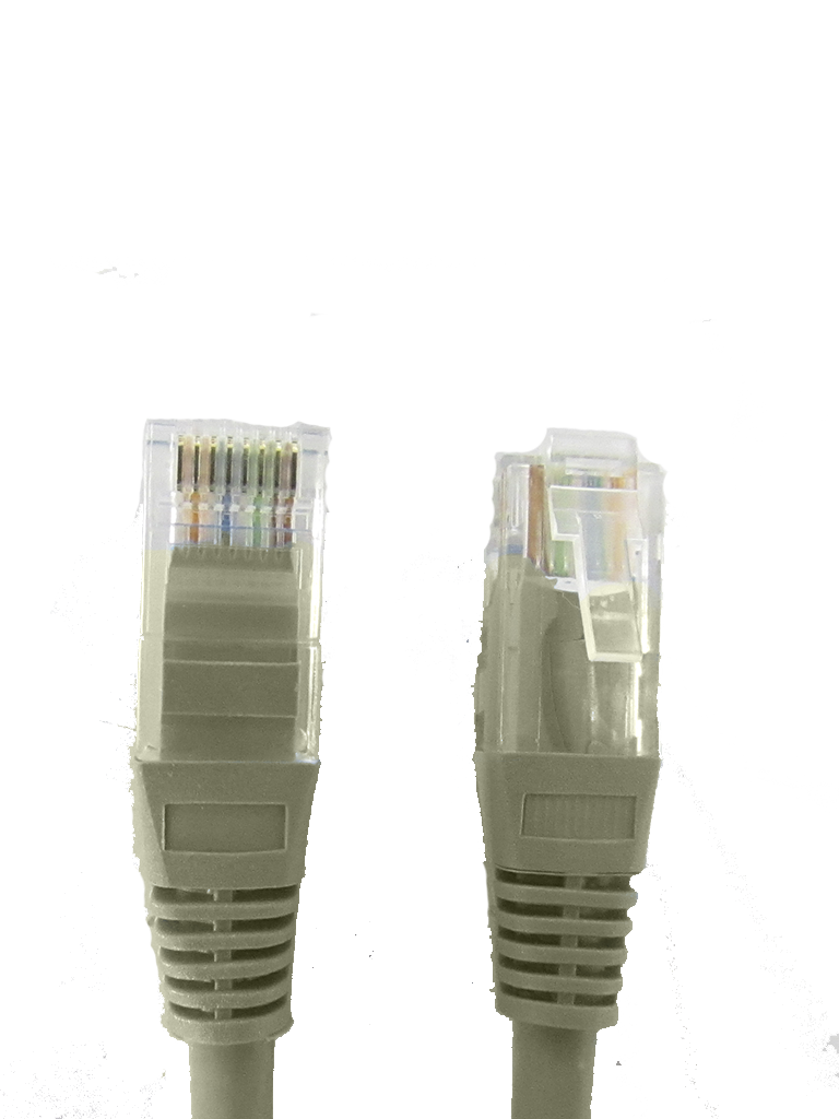 SXTCE119021