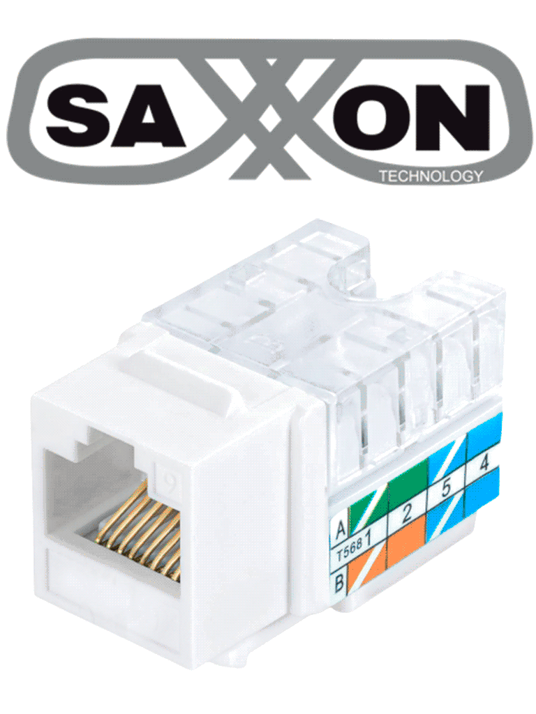 SXTCE442023