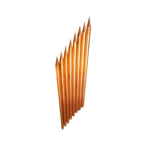 TGTGVAR1558 TGTGVAR1558